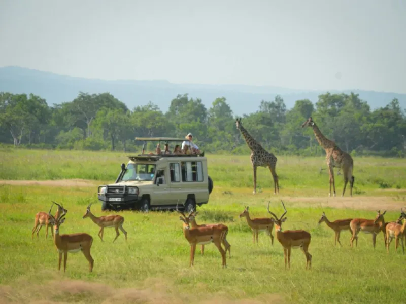 4 Days / 3 Nights Safari